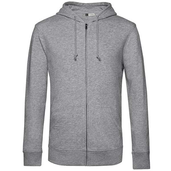 GRIS